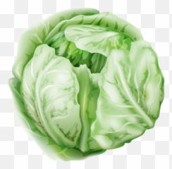 Oil Pastel Techniques Fruits And Vegetables Veggies - Oil Pastel Drawing Vegetables Png,Veggies Png