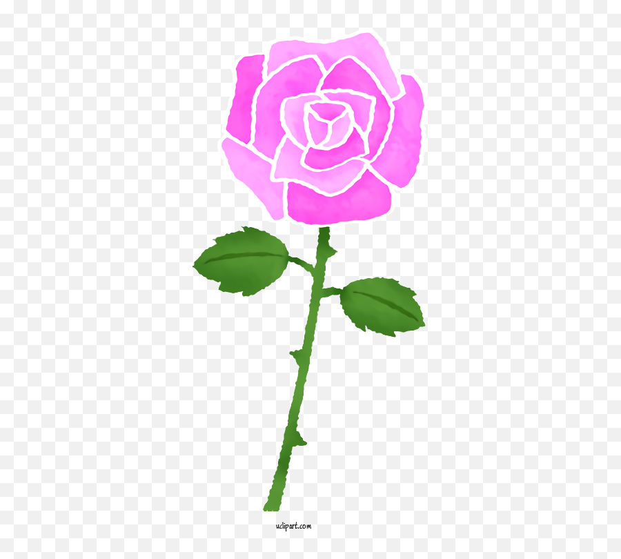 Flowers Garden Roses Drawing Color For - Color Flower Drawing Hd Png,Rose Drawing Png