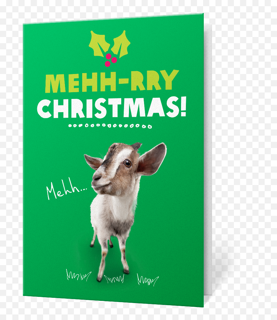 Christmas Goat Charity Gifts - Christmas Gift Cards Oxfam Png,Goats Png