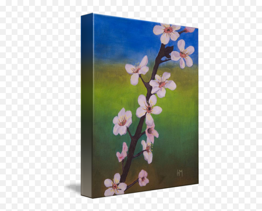 Cherry Blossom Branch By Heather Maccuspie - Gilliflower Png,Cherry Blossom Branch Png