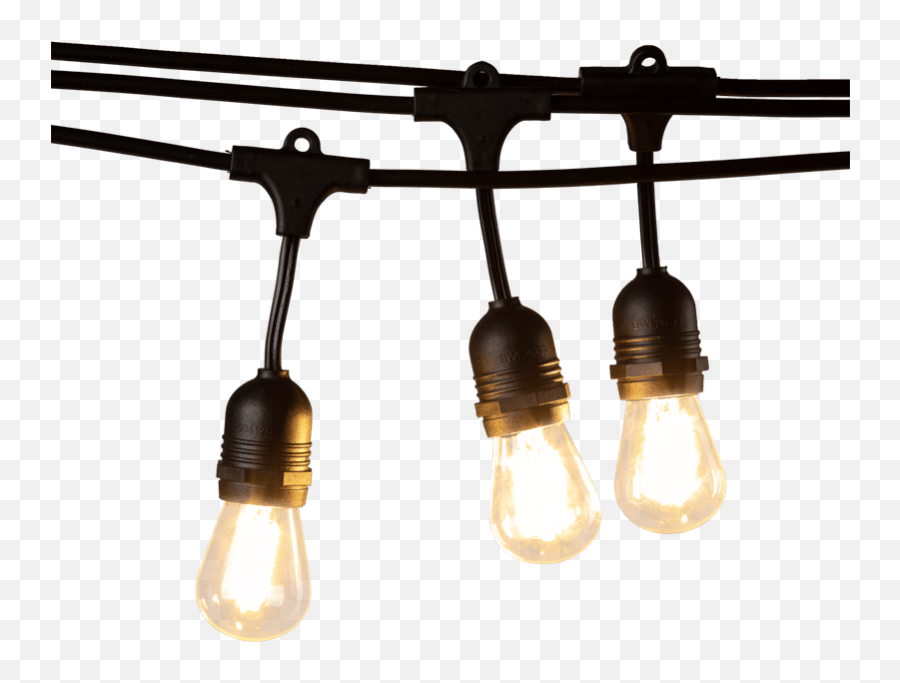 Shopping Plug - In Glass Bulb Led Double Filament String Incandescent Light Bulb Png,String Lights Transparent