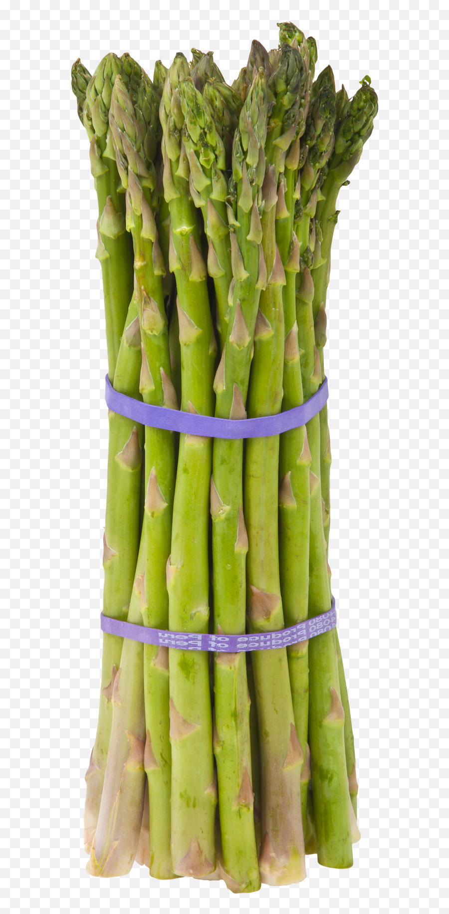 Download Asparagus Png Image For Free - Asparagus Meaning In Bengali,Sugarcane Png