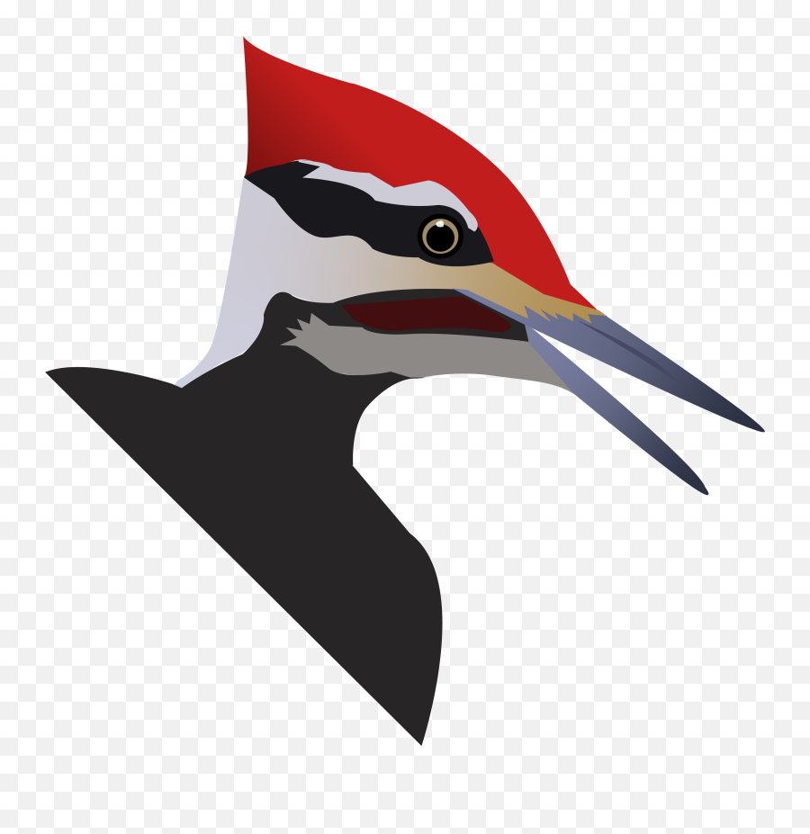 New Version Of Capstone - Pileated Woodpecker Png,Woodpecker Icon