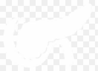 Pancreas - Pancereas Icon png