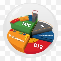 Original Super Mic B12 U2013 Well 365 - Statistical Graphics png
