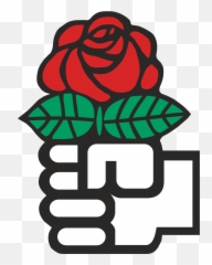 Socialist International - Socialist International Png,Red Rose Transparent
