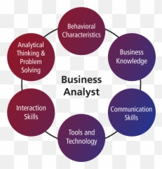 Principles Of Business Analysis Training Course - Search Engine Optimization On Page png