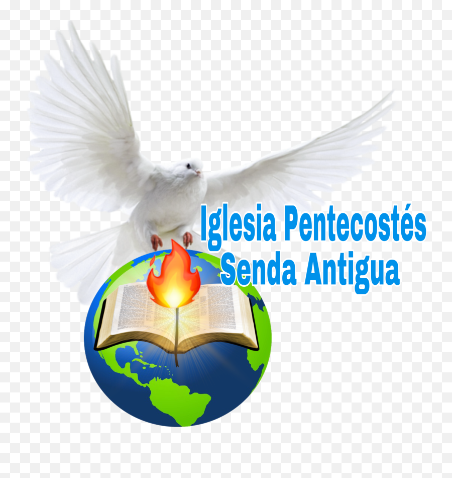 Pagina Oficial Iglesias Pentecostés Jeremias 616 Senda - Flight Png,Iglesia Png