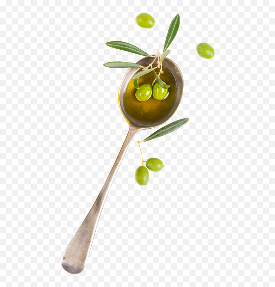 Homepage - Lupi Olive Oil Spoon Olive Oil Png,Oil Png