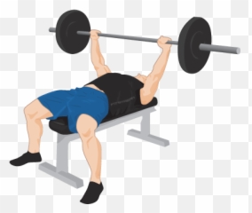 Download Exercise Bench Png - Harder Push Up Variations,Bench Png