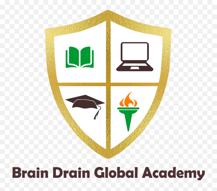 Ceo Brain Drain Global Academy Png Icon
