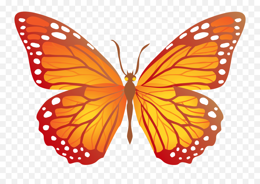 Butterfly Png - Orange Butterfly Clipart,Monarch Butterfly Png