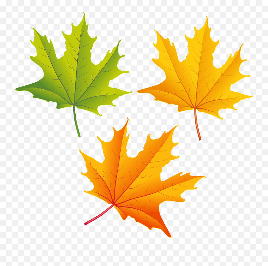 Free Fall Leaves Clip Art Download - Autumn Leaves Clipart Png,Fall Leave Png