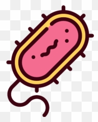 Bacteria Png Icon
