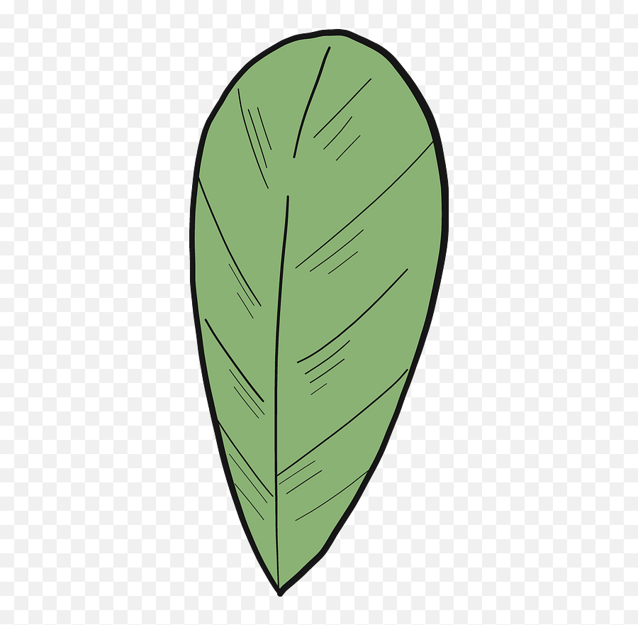 Cranberry Leaf Clipart Free Download Transparent Png - Clip Art,Cranberry Png