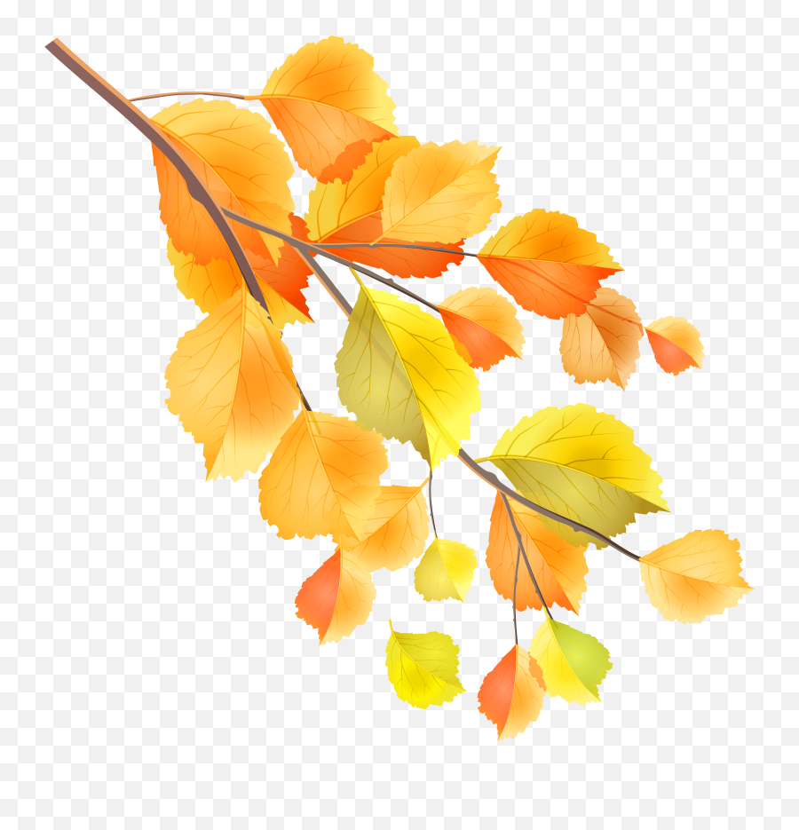 Fall Clipart Branch Transparent Free For - Autumn Branch Png,Branch Transparent