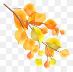 Fall Clipart Branch Transparent Free For - Autumn Branch Png