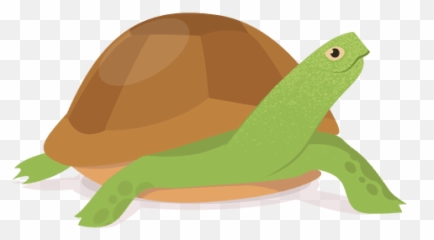 Download - Turtlepngtransparentimagestransparent Tortuga Png Transparente,Turtle Png