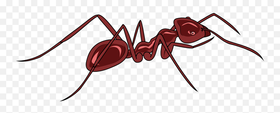 Clipart - Carpenter Ant Png,Ant Transparent