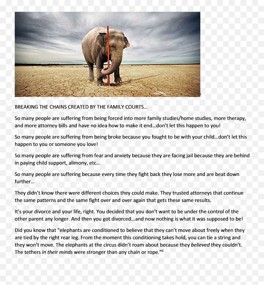 Download Hd Breaking Free Of Family Court Chains Elephant - Elephant Tied To A Stake Png,Breaking Chains Png