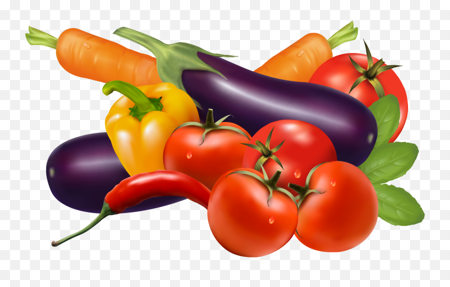 Download Dry Food Supplier Company Doha - Vegetables Images Vector Png,Vegetables Png