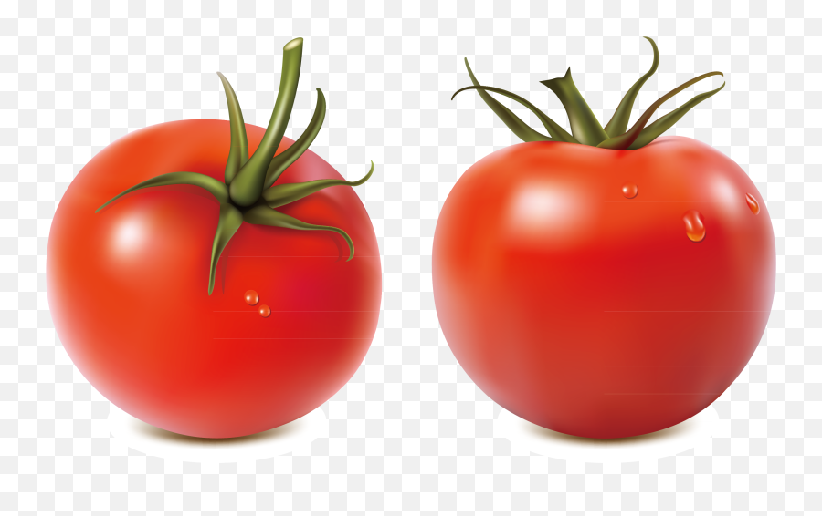 Salsa Tomato Royalty - Tomato Image Download Png,Salsa Png