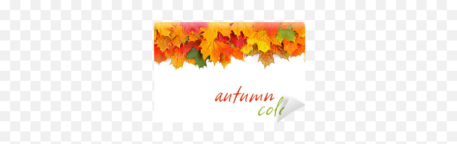 Autumn Leaves Border Wall Mural U2022 Pixers - We Live To Change Horizontal Png,Fall Leaves Border Png
