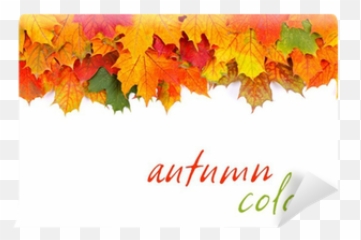 Autumn Leaves Border Wall Mural U2022 Pixers - We Live To Change Horizontal Png,Fall Leaves Border Png