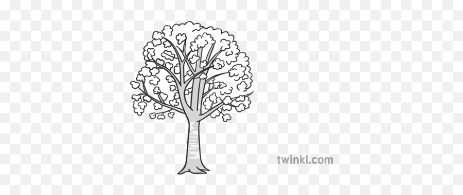 Cherry Tree Black And White 1 Illustration - Twinkl Care For Animals Black And White Png,Cherry Tree Png