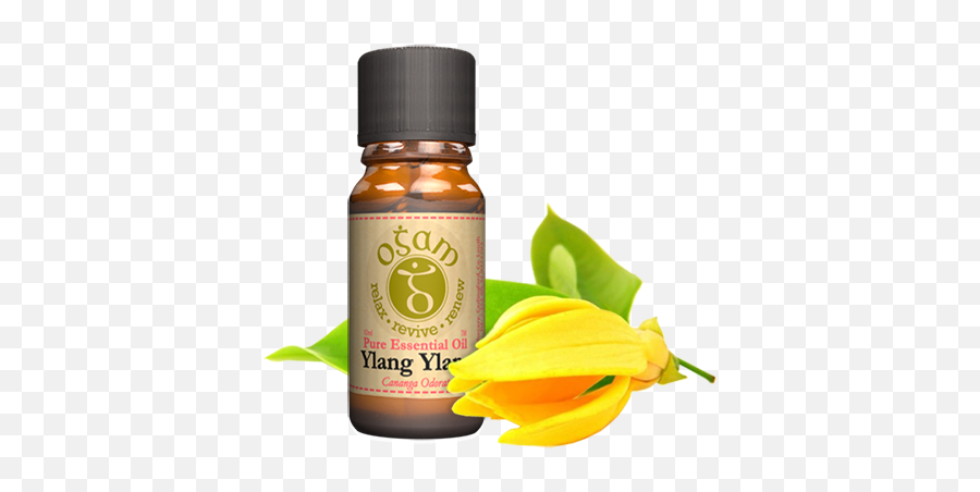 Ogam Oils - Product Details Ylang Ylang Png,Essential Oil Png