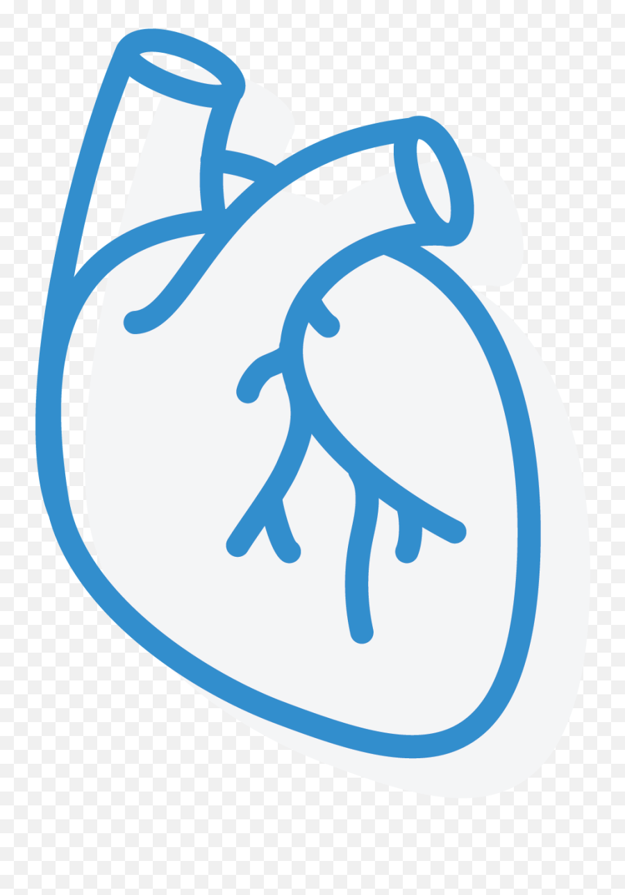 Cardiology Transparent Png Image - Cardiology Icon Png,Cardiology Icon