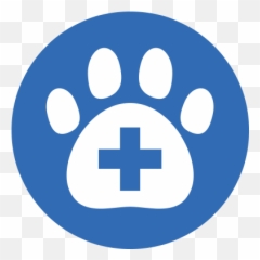Veterinarians Gainesville Va - Stonewall Veterinary Clinic png