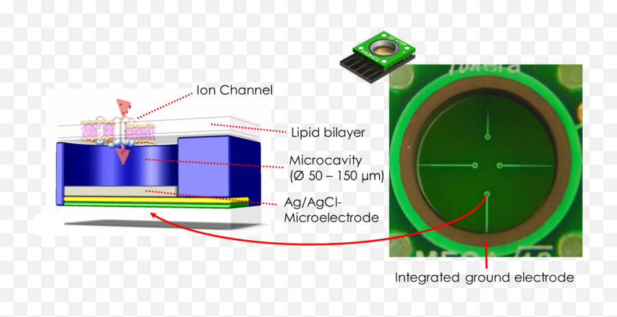Nanion Technologies - Products Orbit Mini Orbit Mini Meca Chip Png,Orbit Icon