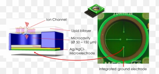 Nanion Technologies - Products Orbit mini Mini Meca Chip png