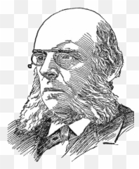 Timothy - Sketch Png,Dwight Png