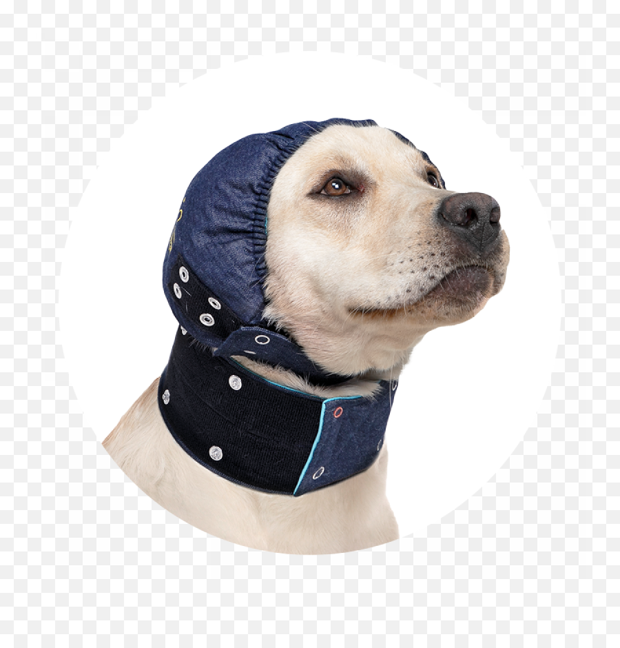 Mps - Head Cover Dog Medical Pet Shirts Mps Head Cover Hund Png,Dog Head Icon