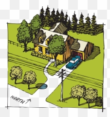 Tree Care Tips U0026 Techniques - Cartoon Png,Tree Top Down Png