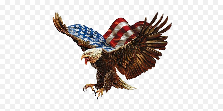 Bald Eagle Download Png Image - American Flag Eagle Png,Bald Eagle Transparent