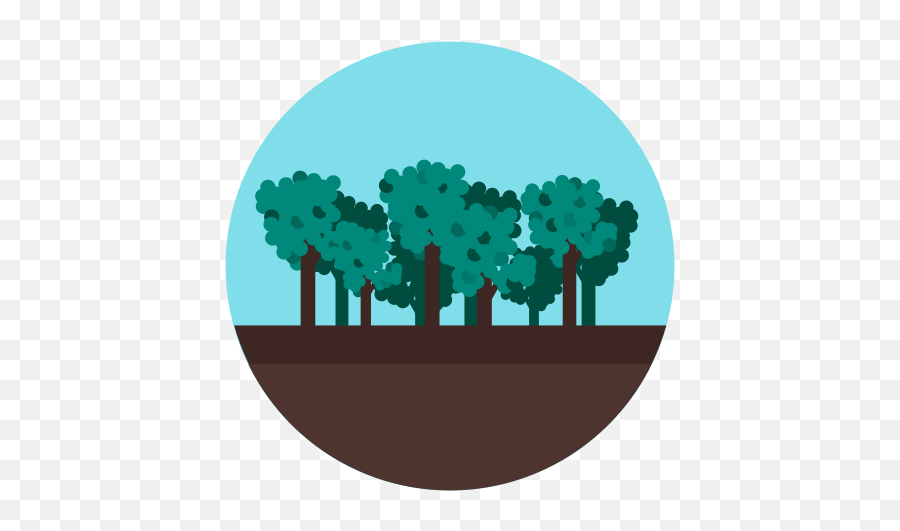 Forest Jungle Tree Wood Icon - Forest Icon Png,Tree Icon Png
