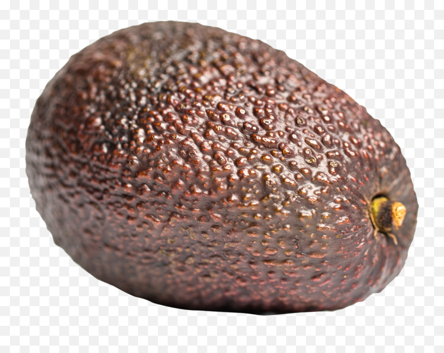 Aocado Png Image Free Images - Brown Avocado Png,Pear Png