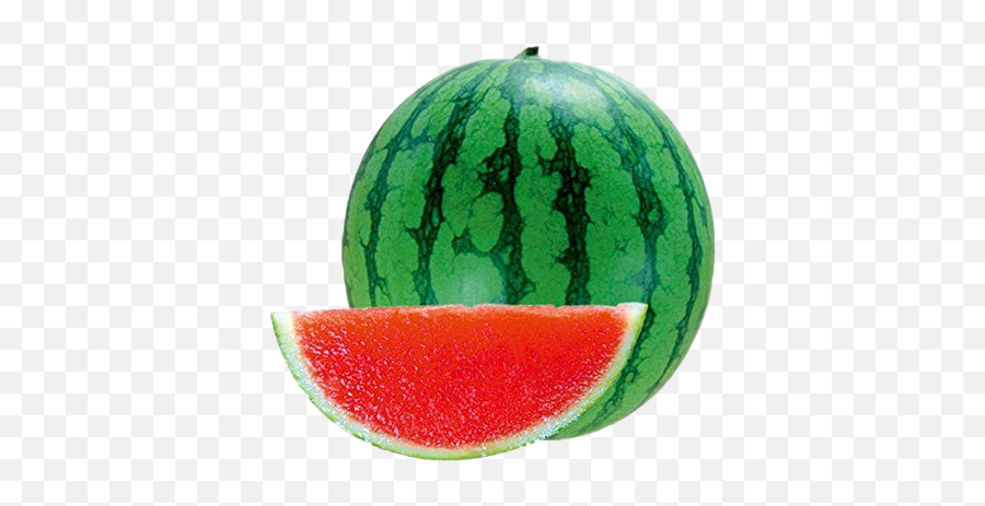 Watermelon Png Hd Quality Play - Watermelon Picture Of Fruits,Watermelon Png