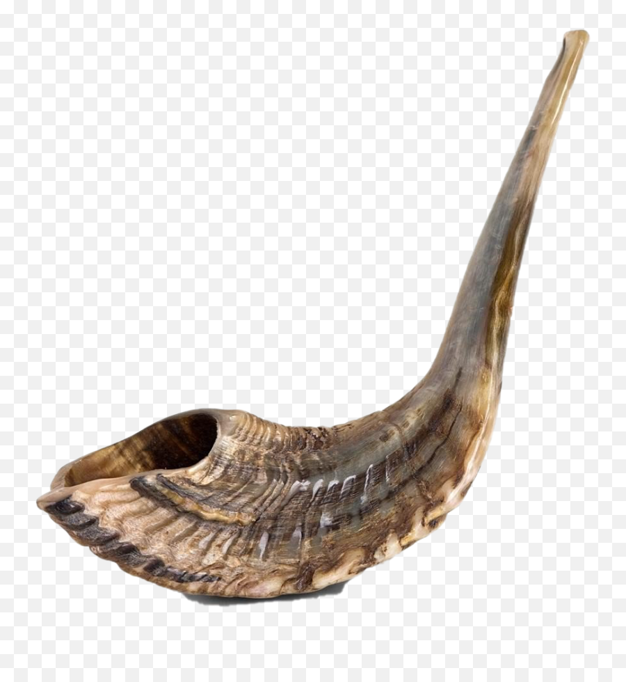 Shofar Transparent Png Mart - Shofar Transparent,Fossil Png