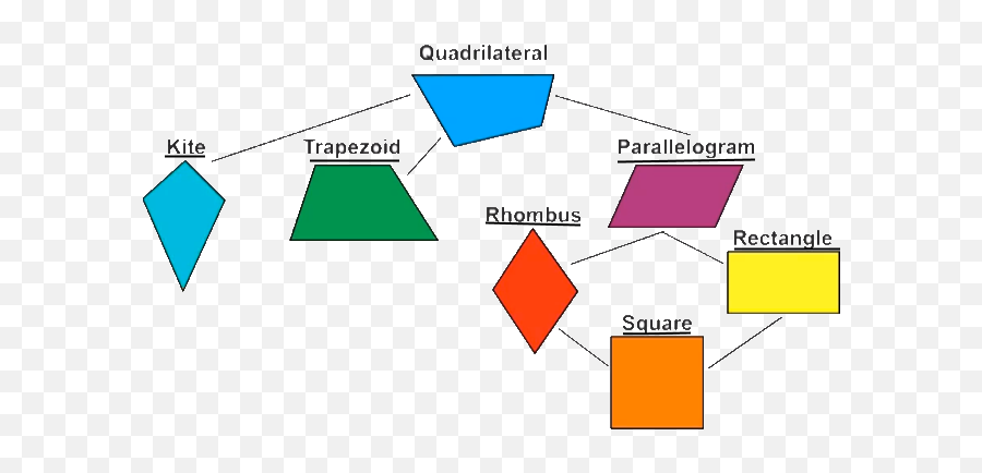 Download Square Rectangle Parallelogram Rhombus Trapezium - Quadrilateral Parallelogram Rectangle Rhombus Square Trapezoid Png,Parallelogram Png