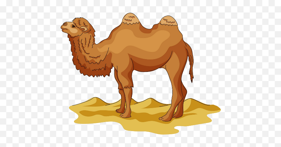 Library Of Camel Transparent Png - Camel Clipart Png,Camel Transparent