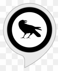 Amazoncom Facts About Robert Raven Kraft Alexa Skills - Egg Clip Art png