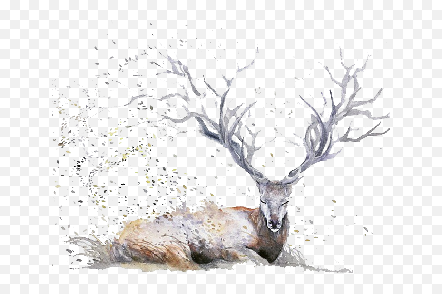 Download Hd Png Deer Antlers - Expressive Watercolor Animal Transparent Background Deer Drawing Watercolor,Deer Antler Png
