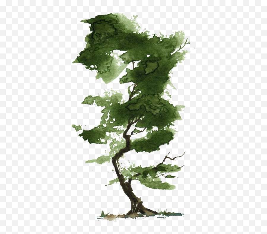 Arbre Tubes Png - Transparent Watercolor Tree Png,Green Watercolor Png