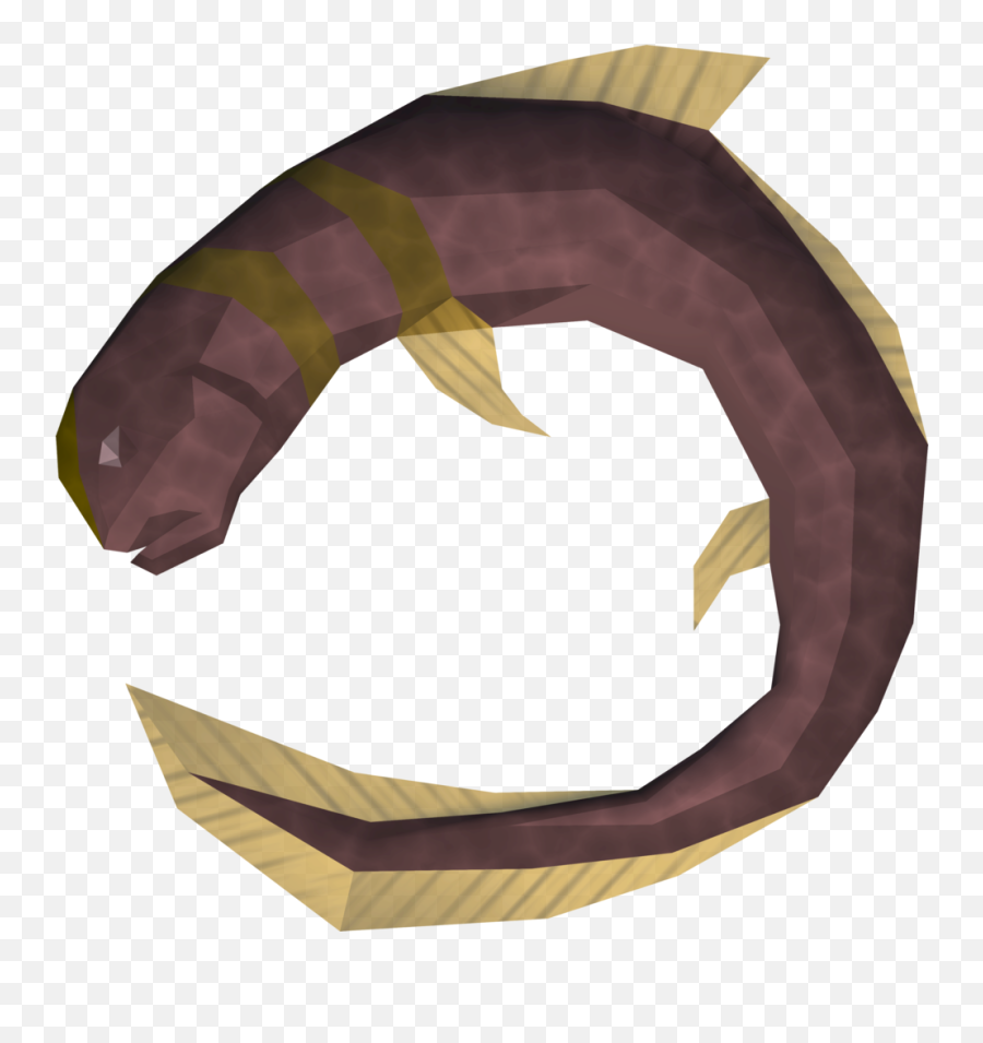 Short - Runescape Eel Png,Eel Png