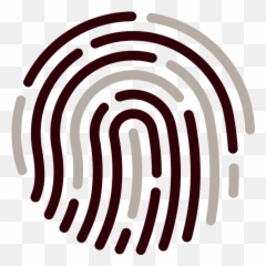 Fingerprint Icon Png White Clipart - Transparent Background