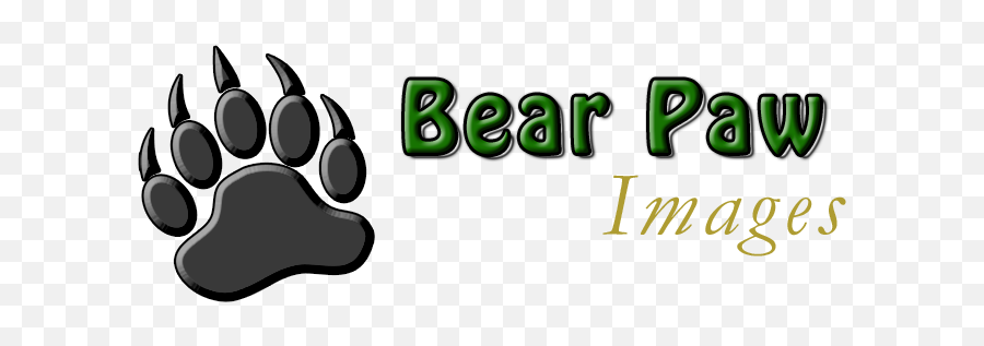 Bear Paw Images - Dot Png,Bear Paw Png